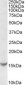 Goat Anti-TCL1A Antibody